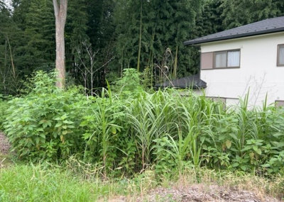 【外観】 | 又野売地 | 販売されている全ての土地が、宅地用の土地であるとは限りません。都市計画法に基づき、基本的に住宅を建てることができるのは土地計画区であることに加え、市街化区域として定められている地域のみとなっています。