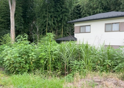 【外観】 | 又野売地 | 現地に行くなら、物件の周囲の地形がどうなっているかを見ることも大切です。周辺より低くなっている土地では、大雨などで水が集まりやすいため、地盤が弱くなっているということも考えられるため、注意が必要です。