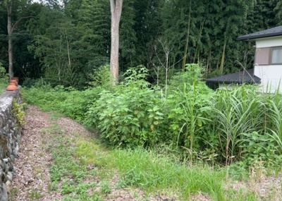 【外観】 | 又野売地 | 物件の詳細については、現地を見てわかること以外に、役所や法務局などで調べないとわからないことがあります。そのため、現地に行く場合は、もしこの物件を買ったらどのような生活ができるかをイメージしましょう。