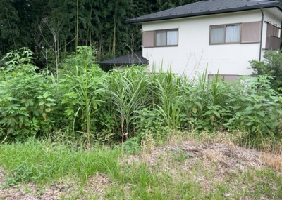 【外観】 | 又野売地 | 隣家の土地はどうなっているのか、生活利便施設が近くにあるのか、学校まで近いかなど、お客様のライフスタイルにあわせたイメージが重要です。また、近くにあると困る施設が近くにないかも確認するといいでしょう。