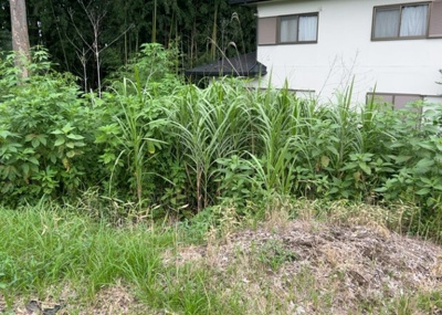 【外観】 | 又野売地 | 土地購入を検討されている場合、境界杭がない状態で購入してしまうと境界確定測量をする必要があり、費用がかかります。購入の前に、売主、隣土地所有者立ち合いのもと境界を確定し境界杭を設置するのがベストです。