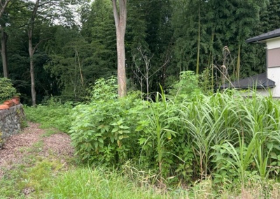 【外観】 | 又野売地 | 家を建てる前提で土地を探している場合、地盤の丈夫さは譲れない条件の一つです。地盤が脆弱だと追加工事が必要となります。また、過去に地盤沈下や液状化現象を起こした土地は、できるだけ避けた方がいいでしょう。