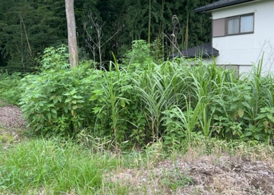 【外観】 | 又野売地 | 人が暮らすうえで日光は大切な要素となります。日当たりの良さは譲れないポイントですね。併せて近くに大きな建築物の建築予定がないか、あるいはそれが可能な土地が近くにないか事前に確認することもお勧めします。