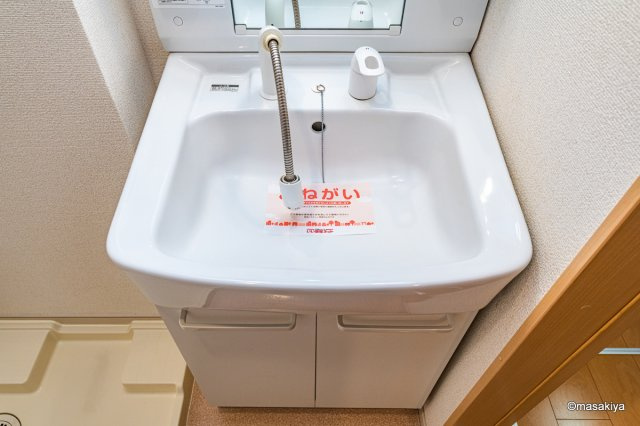 プチメゾン泉の洗面所|シャンプードレッサー