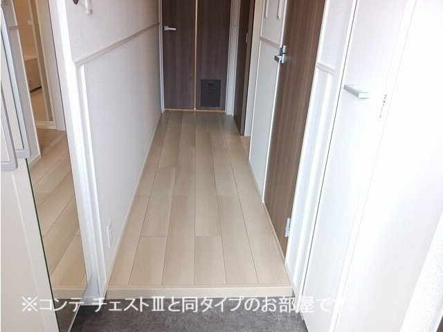 コスモステラス　イーストの玄関|落ち着いた玄関です
