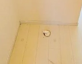 プレシャス船橋一番館の設備