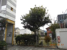 レオパレスＴ　Ｇのその他