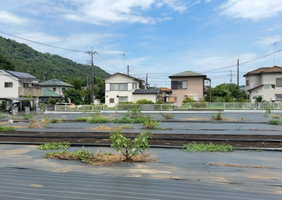  | 根小屋売地