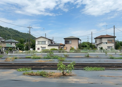  | 根小屋売地
