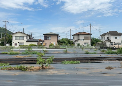  | 根小屋売地