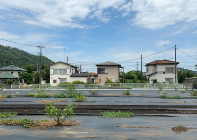  | 根小屋売地