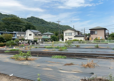  | 根小屋売地