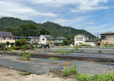  | 根小屋売地