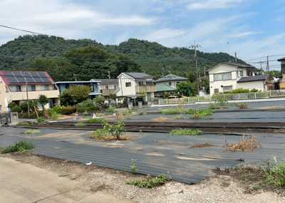  | 根小屋売地