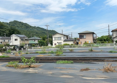  | 根小屋売地