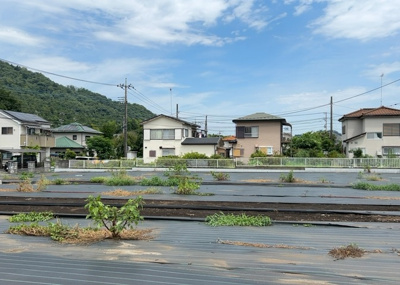  | 根小屋売地