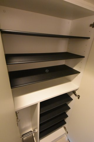 ジアコスモ京橋アクアの収納|ジアコスモ京橋アクア　シューズボックス