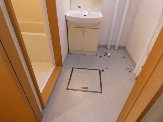 LAND HUMANの洗面所