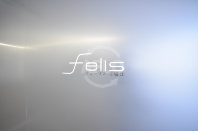 Felis北堀江（フェーリス北堀江）の外観|Felis北堀江（フェーリス北堀江）　外観