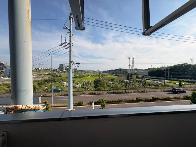 ラフォーレ林の展望