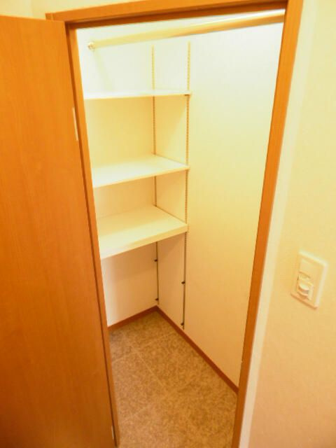 相模原市中央区相模原２丁目の賃貸マンションの収納