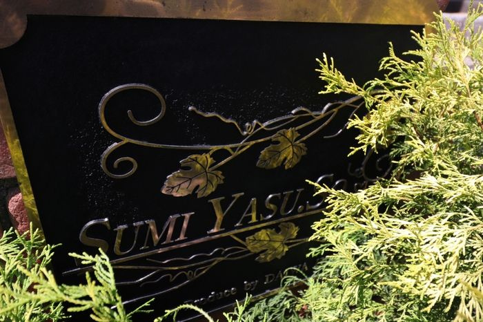 SumiYasu.Soのその他