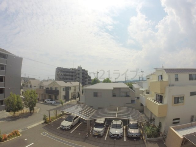 【展望】 | Domingo甲東園