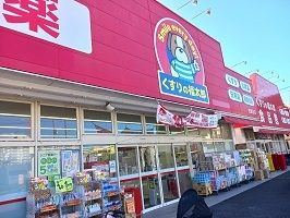 プリマヴェーラ　ドゥエのその他