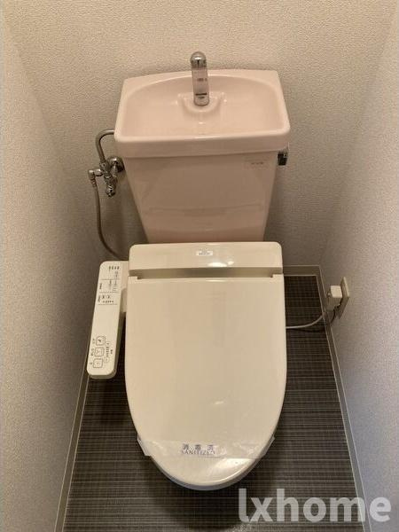 ヴィラージュ葛上のトイレ
