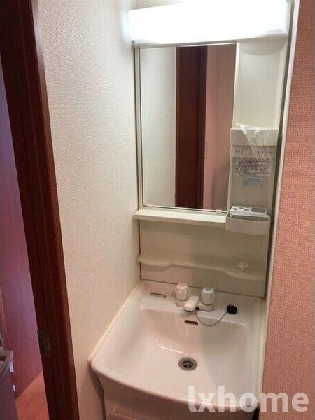 プラスコート西豊川の洗面所|広い洗面スペース