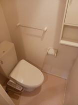 落ち着いた色調のトイレです