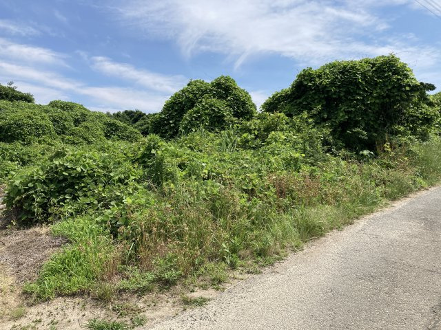 大字東岐波土地　畑の外観