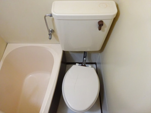 ゆったりとした空間のトイレです