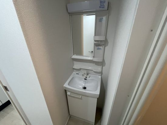 D-STYLEお花茶屋の洗面所