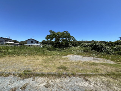 【外観】 | 磐田市見付　駐車場・資材置場用売土地 | 土地面積：公簿 160.00㎡(48.39坪)  