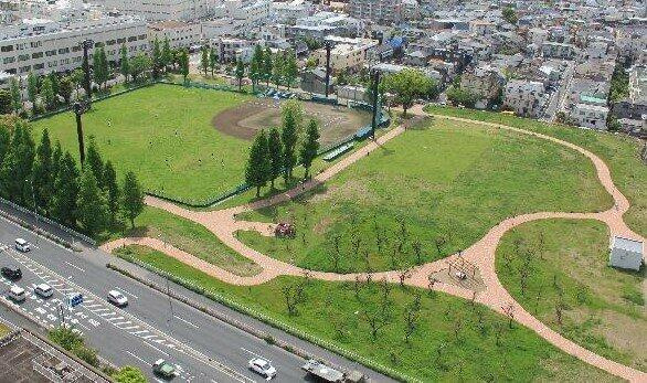 【周辺】 | 御幸公園まで1,949m