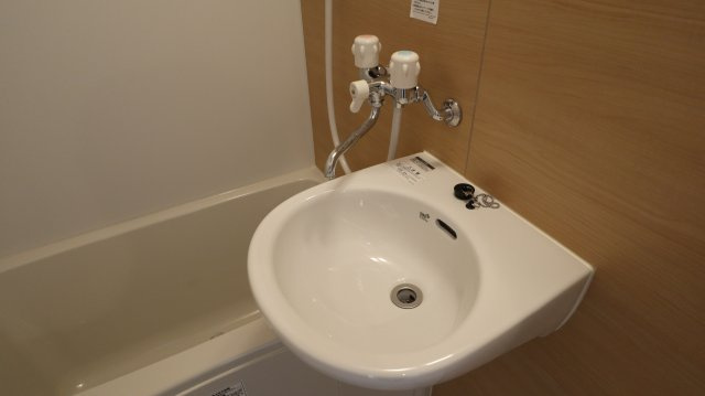 ベイルーム横浜鶴見Ⅱの洗面所