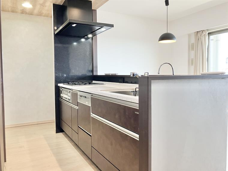 ライオンズ守谷駅前プレミアムのキッチン