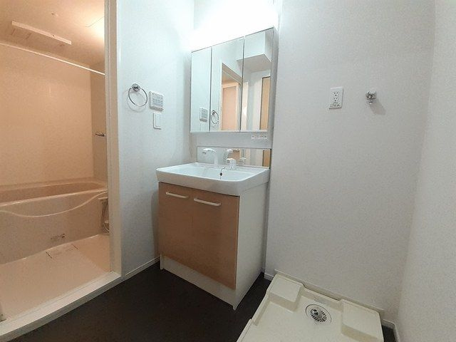 アルテグラン調布の洗面所