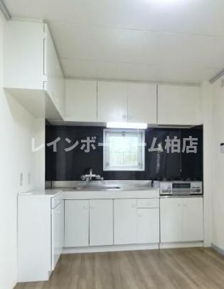 特典：仲介手数料が無料です!!のキッチン|お料理しやすいキッチンです