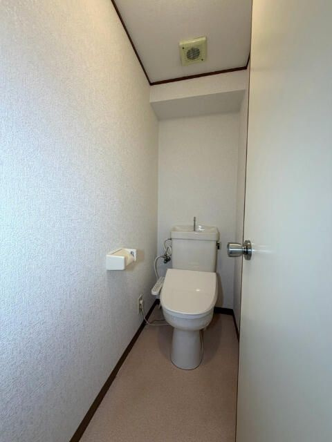 大和市大和南２丁目の賃貸マンションのトイレ