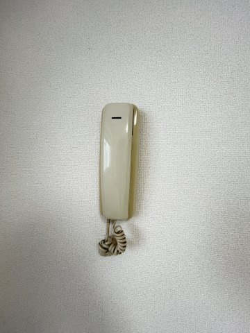 パストラルのセキュリティ