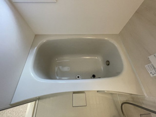 エール逆瀬川の浴室