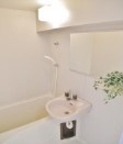 【洗面所】 | BrickMaison1(ブリックメゾンイチゴウカン) | 別号室参考写真