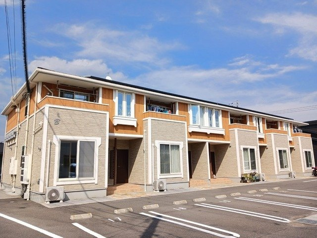 Ｐａｅ　ｇａｎｅ　ミズホＢ