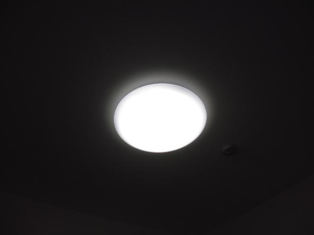 リベルティアのその他