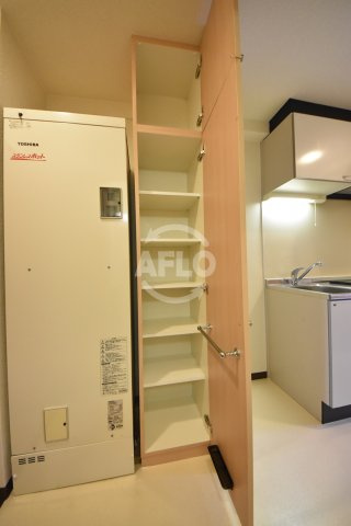 トゥールロワイエ北梅田の収納|トゥールロワイエ北梅田　シューズボックス