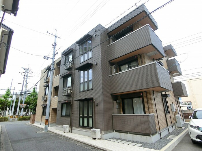 春陽の画像