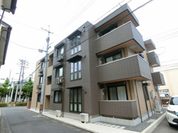 春陽の画像
