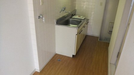 ハス　ニューハウンの内装|大きな収納付きです。